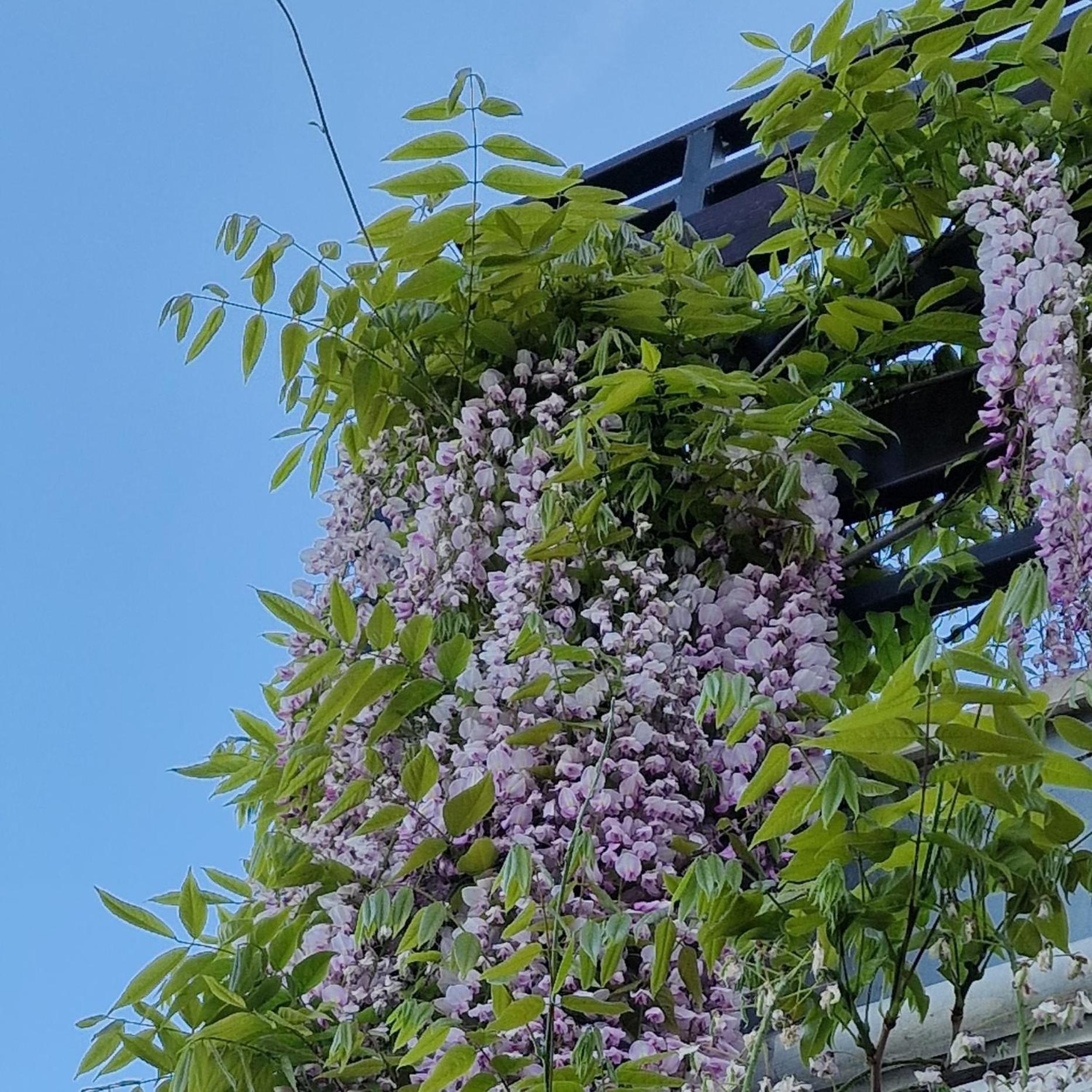 Apartments Barac Πόρετς Εξωτερικό φωτογραφία